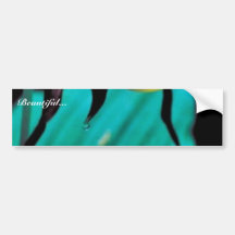 Yellow lady's slipper bumper stickers