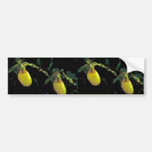 Yellow lady's slipper bumper stickers