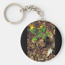 Yellow lady's slipper key chain