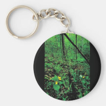 Yellow lady's slipper key chains