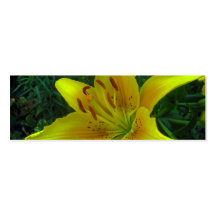 Yellow Lily Flower Business Cards