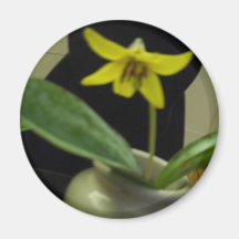 Yellow Mother in Law's Tongue Flower Fridge Magnet