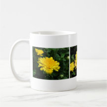 Yellow Mum Mugs