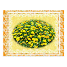 YELLOW MUMS POSTCARD