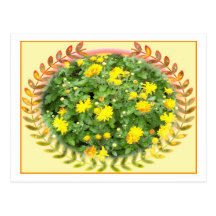 Yellow mums postcard