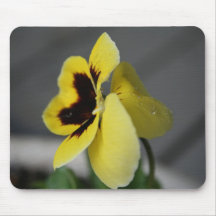 Yellow pansy mouse pad