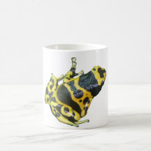 Yellow Poison Dart Arrow Frog isolated Mugs
