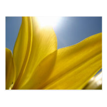 yellow postcard