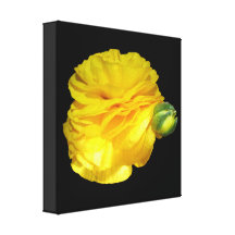 Yellow Ranunculus wrapped canvas print