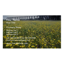 yellow Roman aqueduct, Vila do Conde flowers Business Card Template