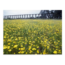 yellow Roman aqueduct, Vila do Conde flowers Post Cards