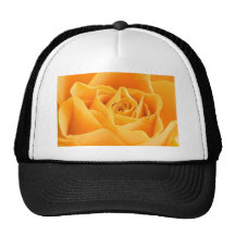 Yellow Rose