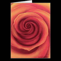 Yellow Rose Painting Art - Multi cards