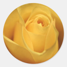 Yellow Rose Round Sticker