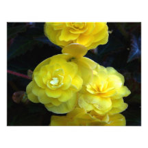 yellow roses custom invitations