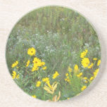 yellow Sunflowers and an autumn field. flowers Drink Coasters