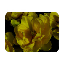 Yellow Tulip Art Magnet