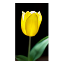 Yellow tulip business card