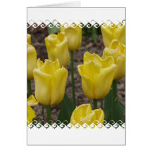 Yellow Tulip Flowers Greeting Card