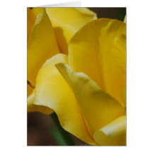 Yellow Tulips Greeting Card