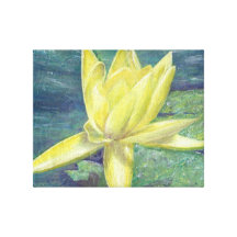 Yellow Water Lily Gallery Wrapped Canvas