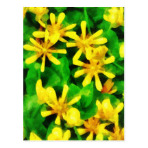 Yellow Wildflowers Post Card