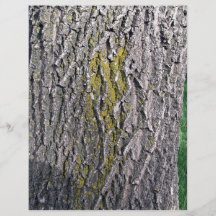 Yellow wood moss texture flyers