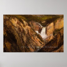 Yellowstone Falls Posters