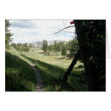 Yellowstone National Park Card
