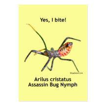 Yes I Bite Assassin Bug Business Card Template
