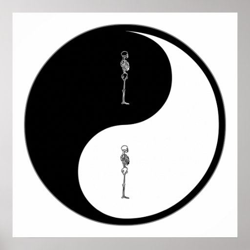 Yin Yang Chiropractic Print