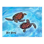 Yin Yang Turtles Post Card