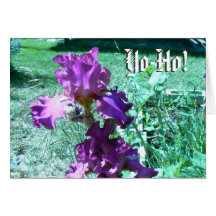 Yo-Ho! Hook Iris Greeting Card