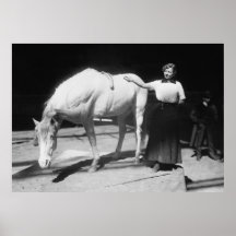 Yoga Horse, 1910s Poster