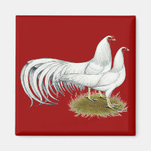 Yokohama:  White Pair Fridge Magnet