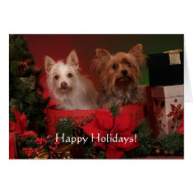 Yorkie Holiday Greeting Cards