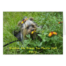 Yorkie Note Card