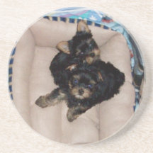Yorkies Beverage Coaster