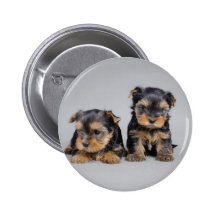 Yorkies Pins