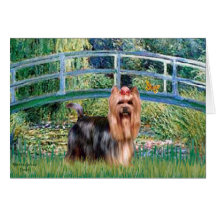 Yorkshire Terrier 9 - Bridge Greeting Cards