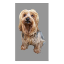 Yorkshire Terrier Business Card
