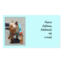 Yorkshire Terrier business card