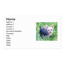 Yorkshire Terrier Business Card Template