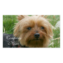 Yorkshire Terrier Business Cards