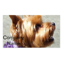 Yorkshire terrier business cards