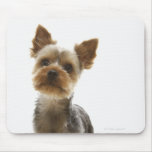 Yorkshire Terrier Mousemats