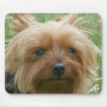 Yorkshire Terrier Mousepad