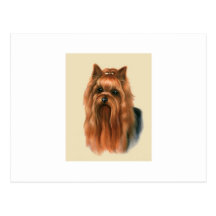 Yorkshire Terrier Post Cards