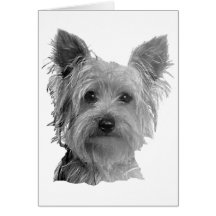 Yorkshire Terrier Stylised Image Greeting Cards