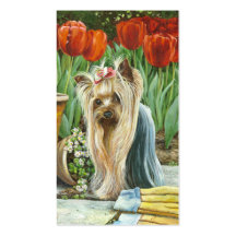 Yorkshire Terrier Tulip Garden Business Card Templates